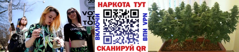 Как найти наркотики Гусев Альфа ПВП Метадон Псилоцибиновые грибы МАРИХУАНА ГАШ